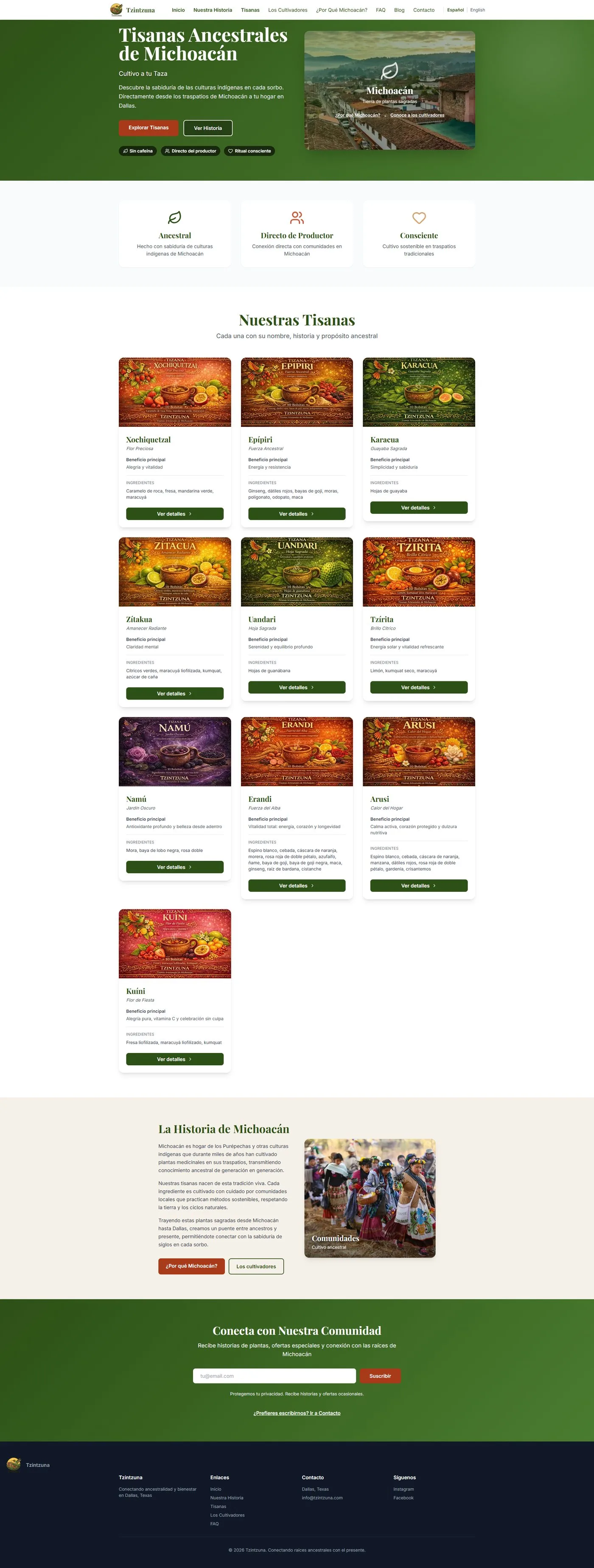 Homepage screenshot of Tzintzuna